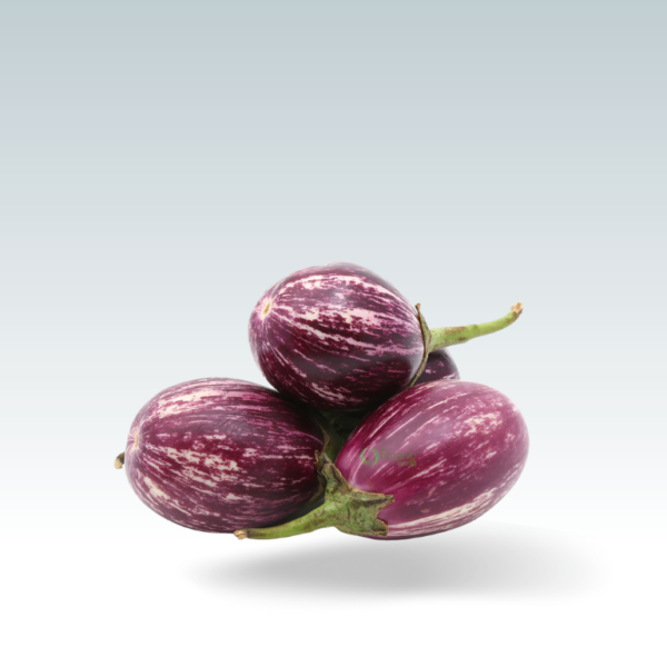 Brinjal (Vangi)