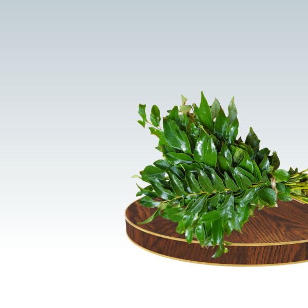 Curry Leaves (Kadipatta) - Image 2