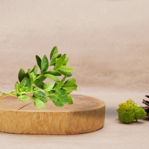 Mint (Cleaned & Packed)