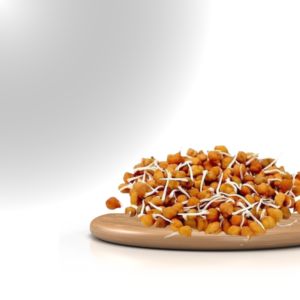 Chickpeas Sproute (Harbhara)