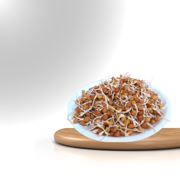Chickpeas Sproute (Harbhara) - Image 2
