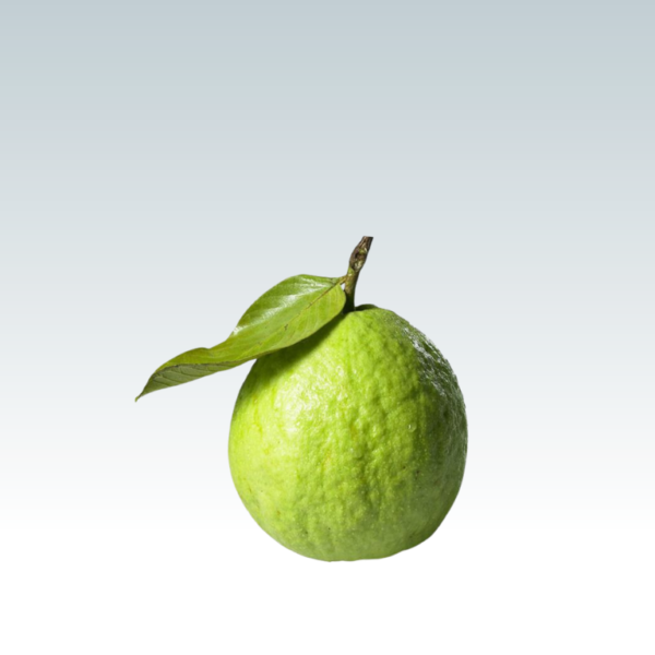 Guava (Peru) - Image 2