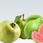 Untitled design (11)