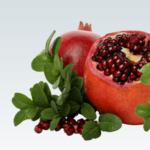 Untitled design (13)